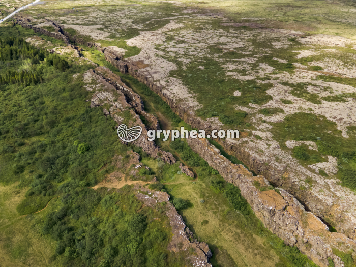 Fissures d'extension de la croûte terrestre (Thingvellir, Islande) - gryphea.com